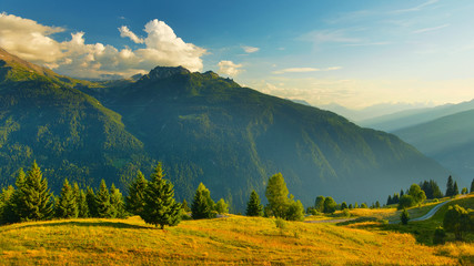 View of summer meadow in mountains