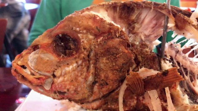Close-up shot of a half eaten fried fish standing on top of a table