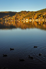 Reflections of Autumnal Colors on the Lake of Chambon