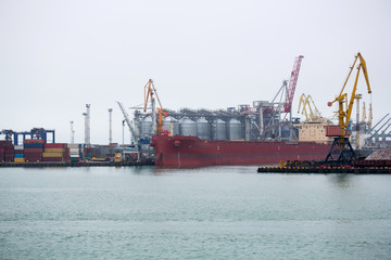 Port terminal of bulk cargo. Port elevator with loading vessel