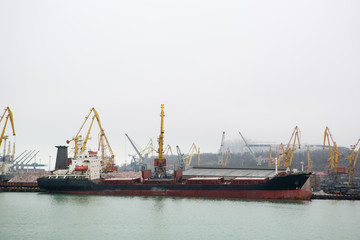 Fototapeta premium Vessel dry cargo on loading, unloading in port. Bulker in port. port terminal