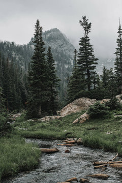 Scenic view of stream on field against trees and mountains