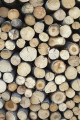 Möbelaufkleber Sawed tree trunks and branches in different sizes, piled up in blue container Wood storage Timber industry © Artur