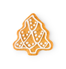 Gingerbread in the form of christmas tree - homemade sweet cookie, isolated on white background