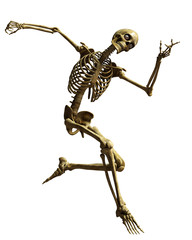 skeleton cartoon zombieon the flor