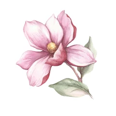 Foto op Canvas Image of blooming magnolia branch. Watercolor illustration © adelveys