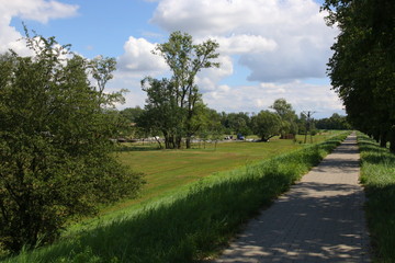 Shadow Road