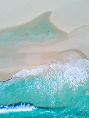 Dolphins in the Sand