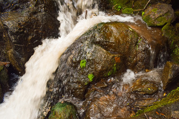 cascadas de agua dulce