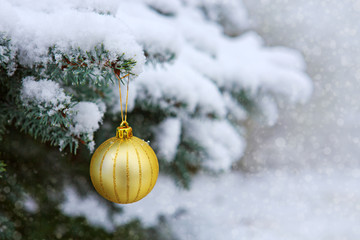 Golden Christmas tree and blue star sky.
