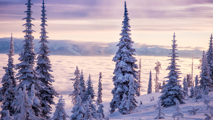 A view from above the clouds that have descended on Flathead Lake in Montana