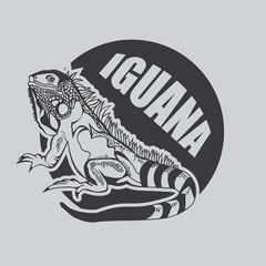 Iguana Vector