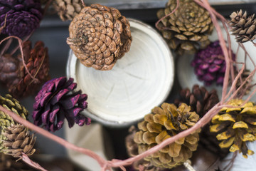 autumn or winter background of pine cones and birch 