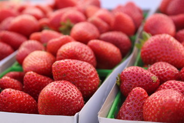 Red strawberries close up
