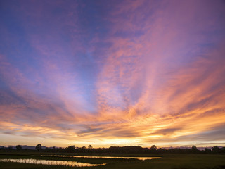 A wide-angle, colourful, sunset sky with clouds over rice fields in eastern Thailand