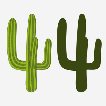 Mexican cactus, desert plant. vector