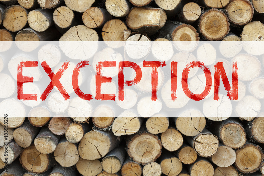 Poster conceptual announcement text caption inspiration showing exception business concept for exceptional 
