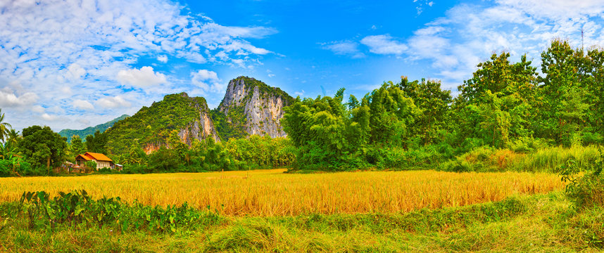  Beautiful rural landscape. Luang Prabang. Laos. Panorama