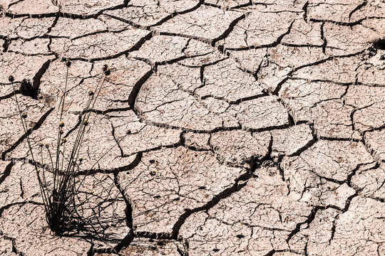 Crack ground of drought background.