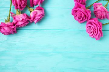 Pink  roses  flowers on  mint color  wooden background.