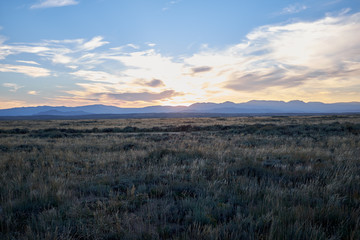 Tranquil grassland with hills in the distance