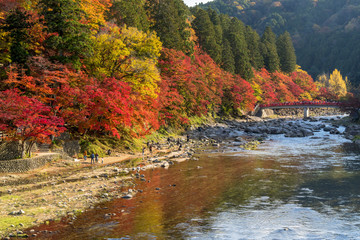 Fototapeta na wymiar 紅葉美しい香嵐渓の秋