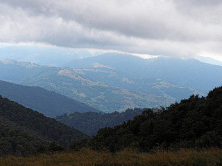 Carpatian mountains village at green forest