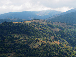 Obraz premium Carpatian mountains village at green forest