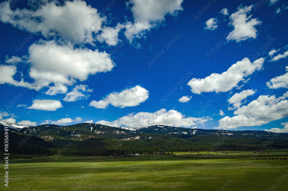 Wall mural idaho meadow sky