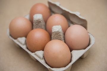 Fresh eggs in cardboard box