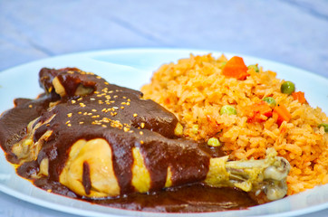 Pollo con Mole y Arroz