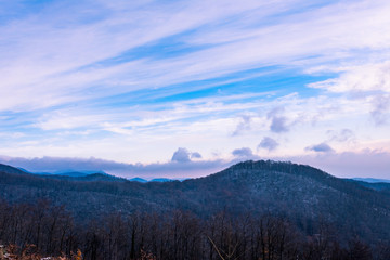 Plakat Landscape view of forested mountain hills in winter on a hazy morning, beautiful winter scene or background
