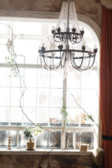 Fototapeta na wymiar vintage window with bonsai on sill. Big chrystal ceiling light hanging.