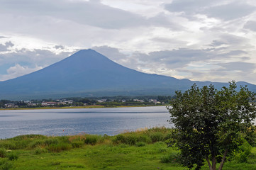 Obraz premium 富士山と河口湖