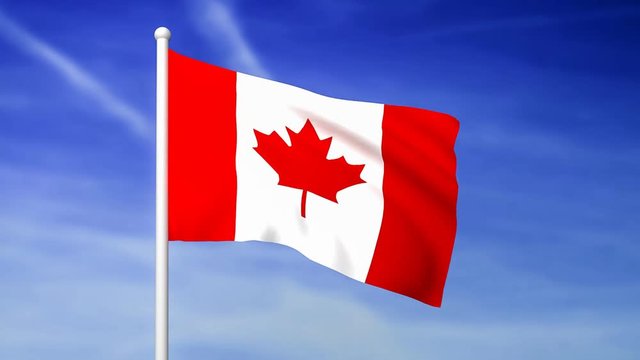 Waving flag of Canada on the blue sky background - 3D rendered