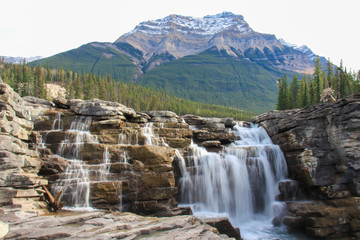 Powerful picturesque athabasca falls and river canada