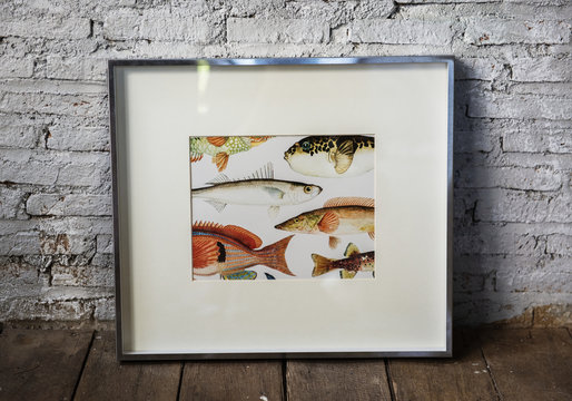 Photo of hand drawing fish in a frame