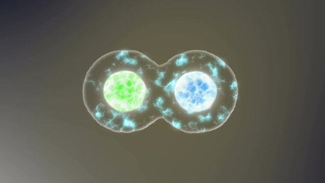 the cell is divided into four concept of mutation and evolution animation