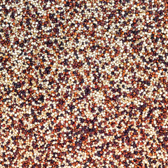 Heap of quinoa background