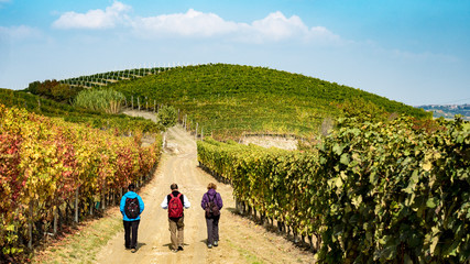 Walking down the winery
