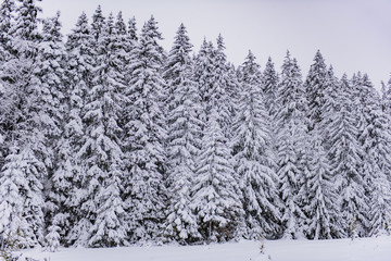 Winter landscape in Carpathians, Romania