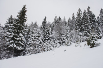 Winter landscape in Carpathians, Romania