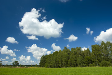 Obraz premium Green meadow, forest and blue sky with clouds