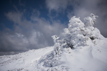 Fototapeta na wymiar Winter landscape in Romania