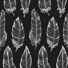 Seamless pattern. Hand drawn bird feathers. Vector illustration