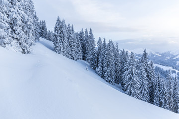 Fototapeta na wymiar Landschaft mit Schnee und Bäume unter bewölkten Himmel
