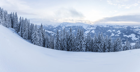 Winter Panorama mit Schnee und Bäume 