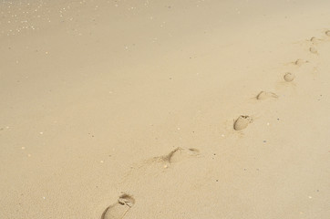 Fototapeta na wymiar spuren, sand, nordsee, meer, spazieren, Fußabdruck