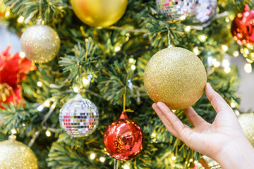 Closeup woman hand   decorating Christmas tree with gold baubles.