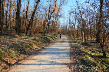 pista ciclabile nel parco del Lura - Lomazzo (Como)